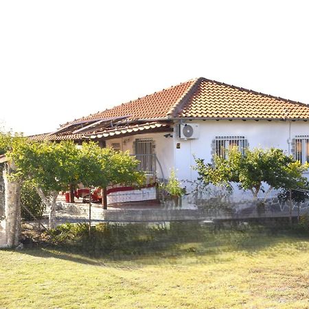 Amarantos Beautiful Garden House Metokhion Patriotikon Exterior foto